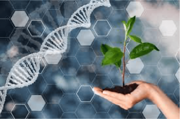 ABS-Breeding-into-AI (1)