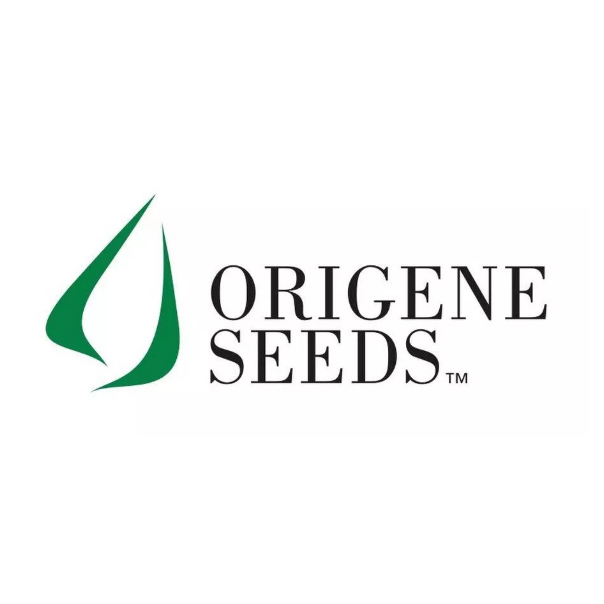 Origene Seeds