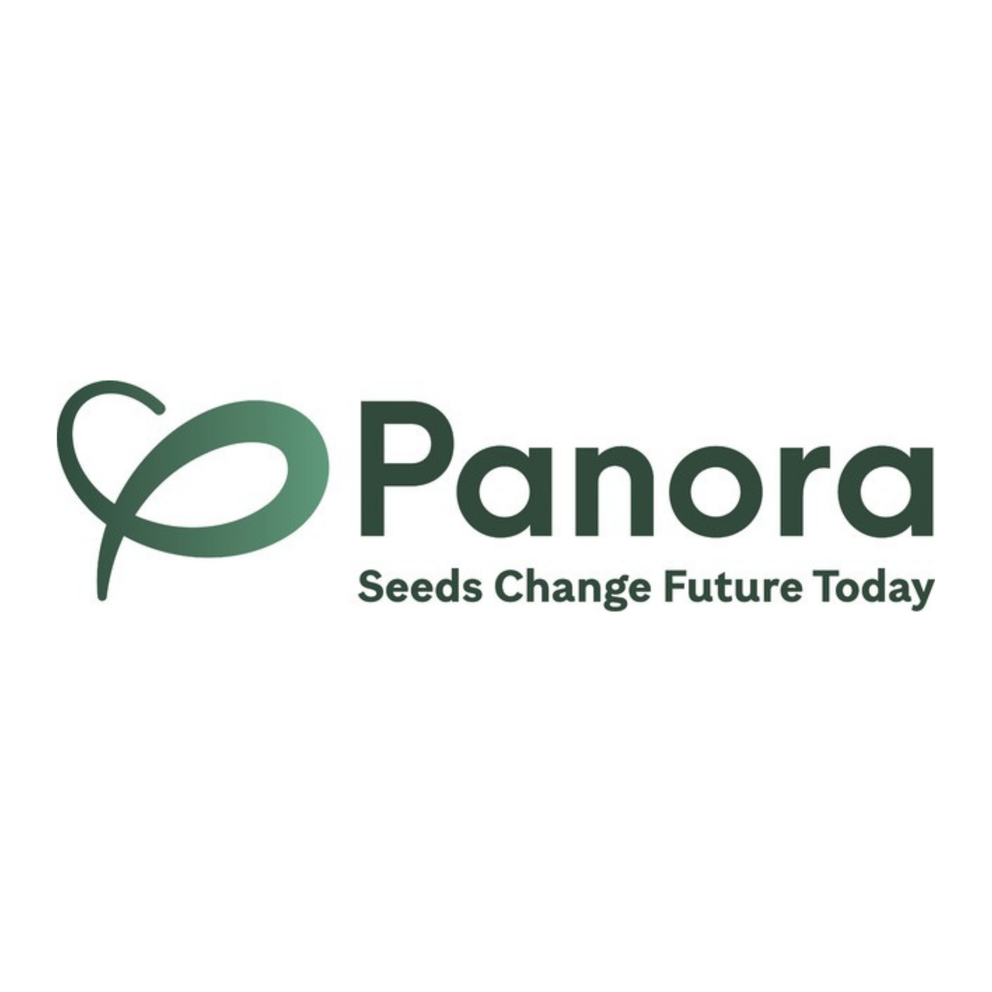 Panora