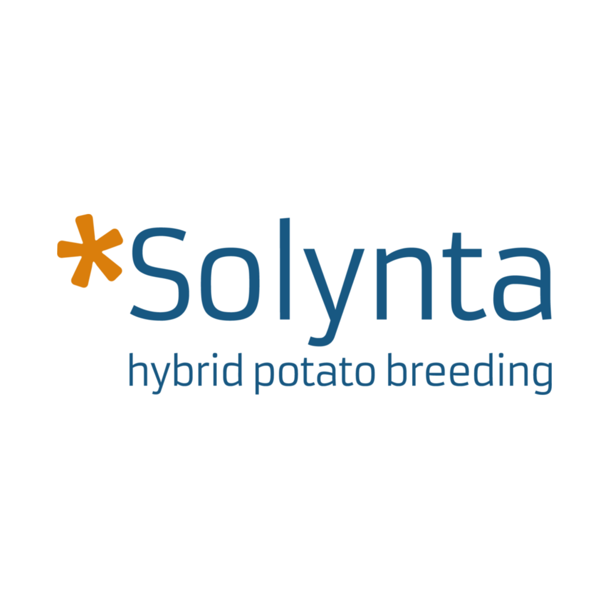 Solynta