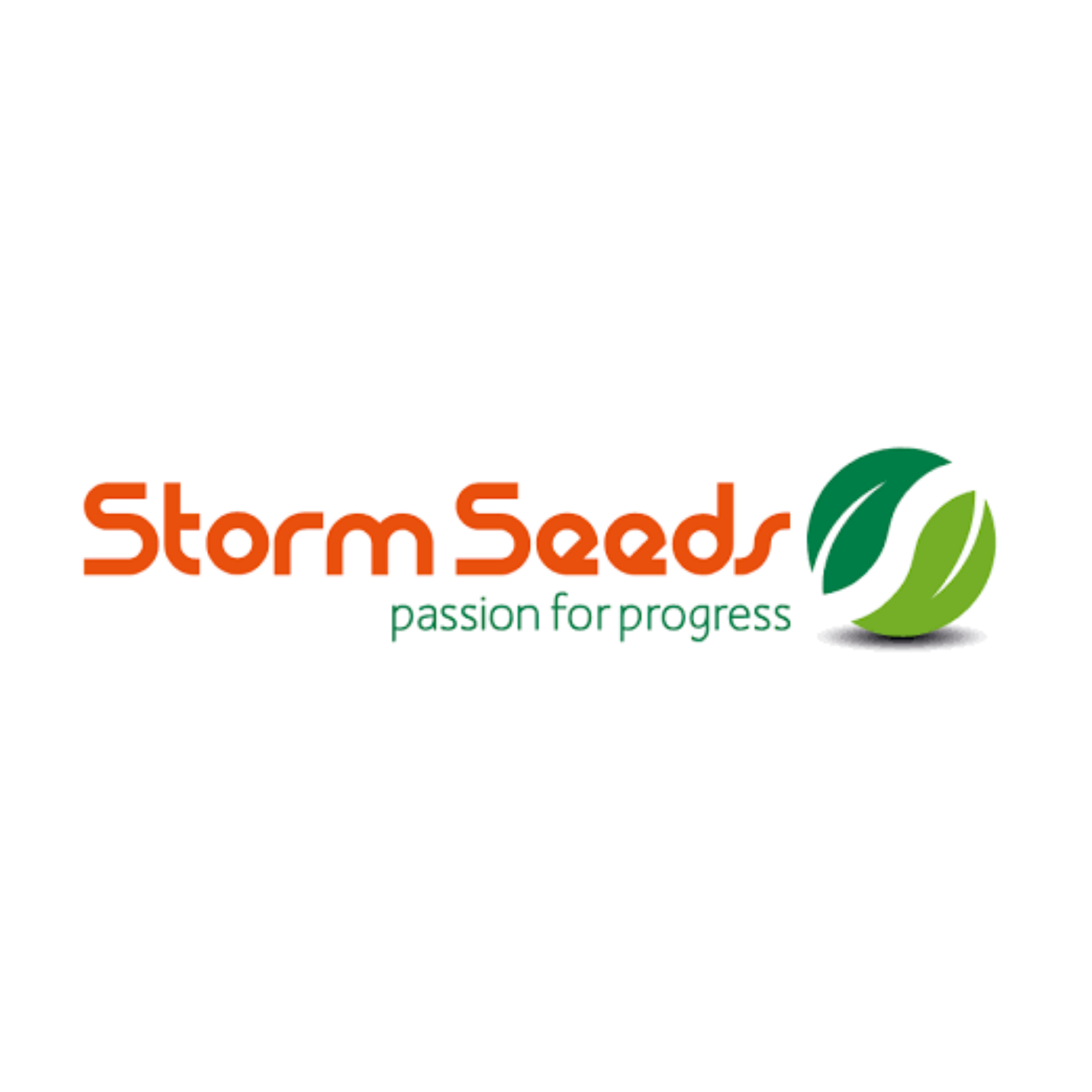 Storm Seeds