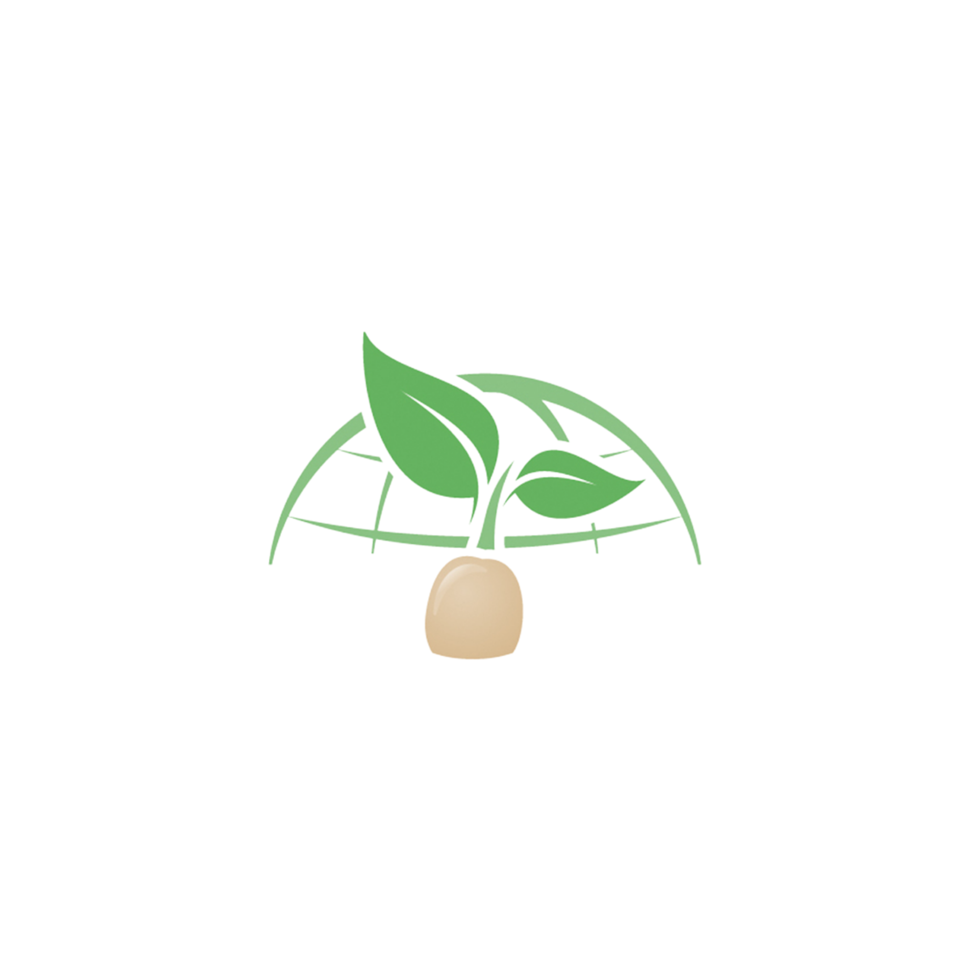 Universal seeds